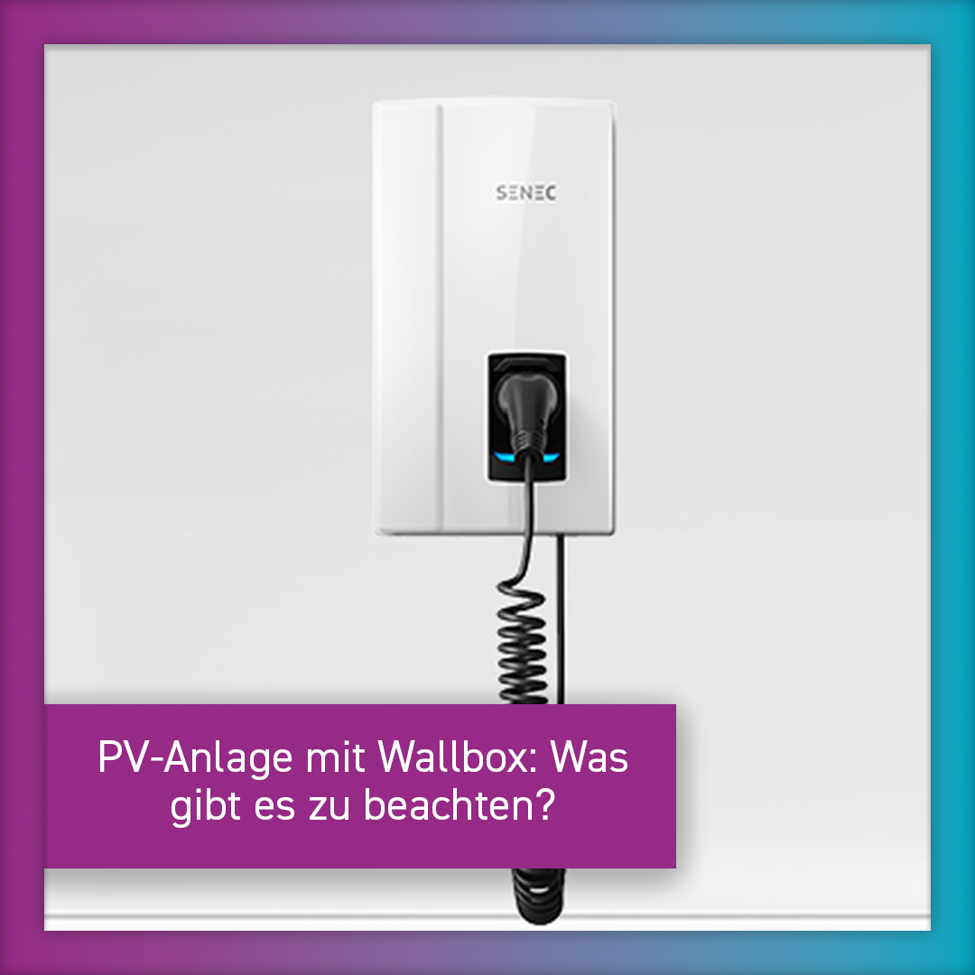 SENEC Wallbox